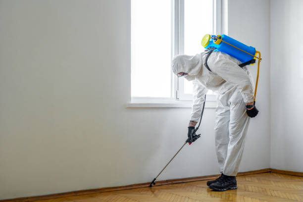 Best Pest Control for Multi-Family Homes  in Byron, CA